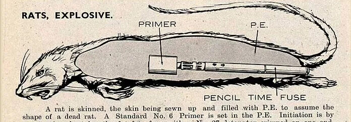 THE SOE, COVERT ACTION, AND THE BRITISH CULTURAL IMAGINARY